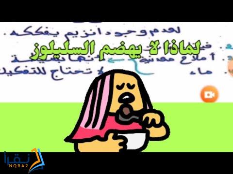 لماذا لا يهضم السليلوز في جسم الانسان